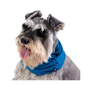 Dog scarf Blue