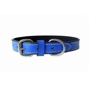 fiesta-leather-dog-collar-blue