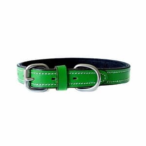 fiesta-leather-dog-collar-green