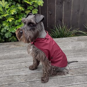 amazon-dog-raincoat-burgundy-lifestyle-1
