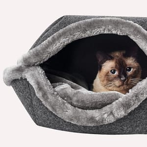 Cat Beds & Caves
