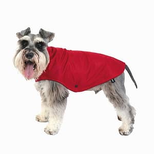 waterproof-dog-raincoat-red-rio-lifestyle