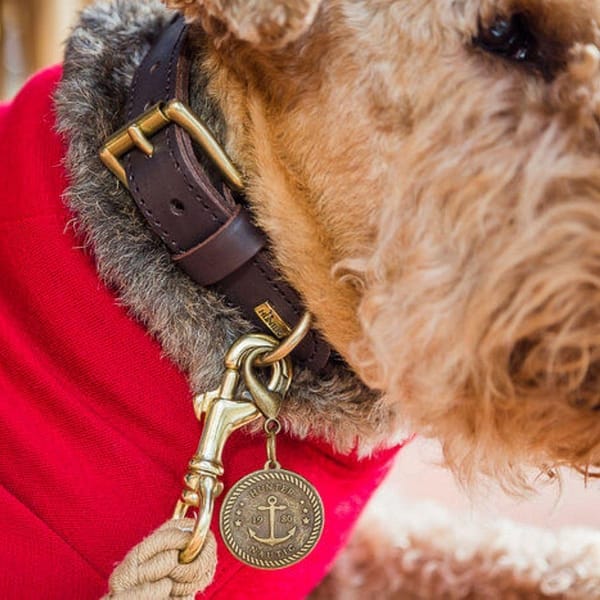 close up of nautic brown rope dog collar with collar tag