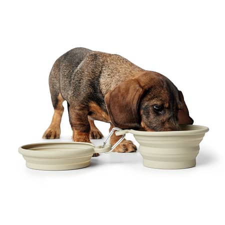 collapsible-dog-travel-bowls-clay-lifestyle