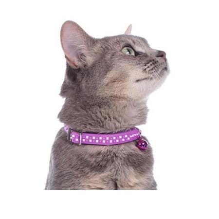 Cat collars