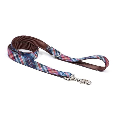 Gosol dog leash