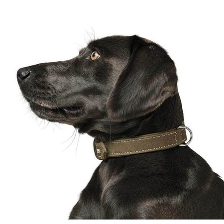 Nubuck leather dog collar olive