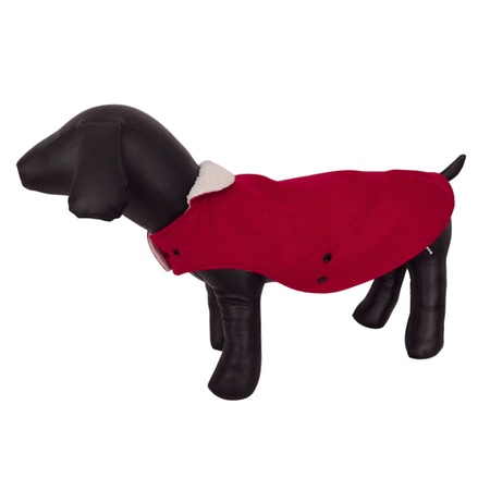 paddington-raspberry-dog-coat
