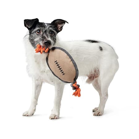 rugby-ball-dog-toy-hunter-2