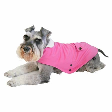 windsor-pink-dog-coat-sitting