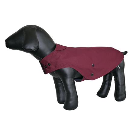 amazon-burgundy-dog-raincoat