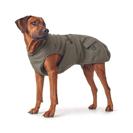 Uppsala-trend-khaki-dog-coat
