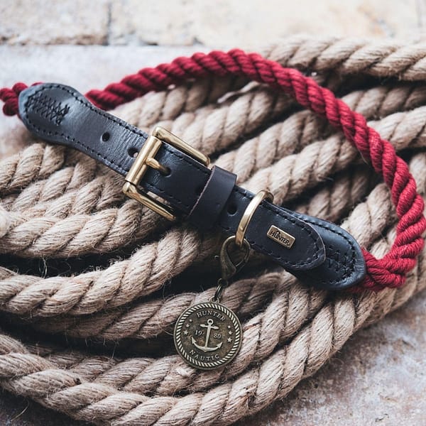 nautic bordeaux red rope dog collar among nautical ropes