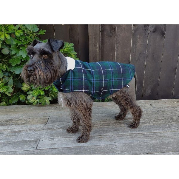 inverness-tartan-dog-coat-lifestyle