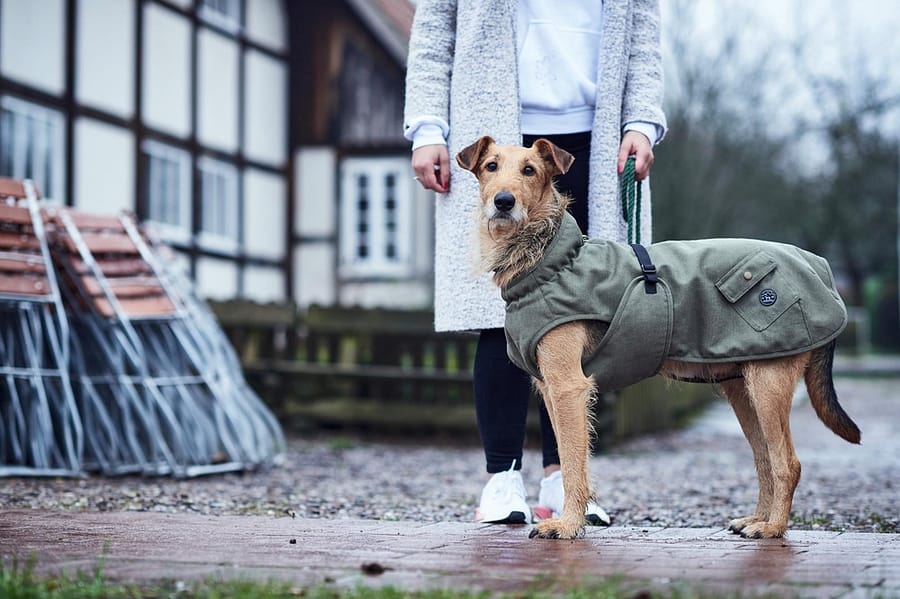 Uppsala Trend winter dog coat from Hunter