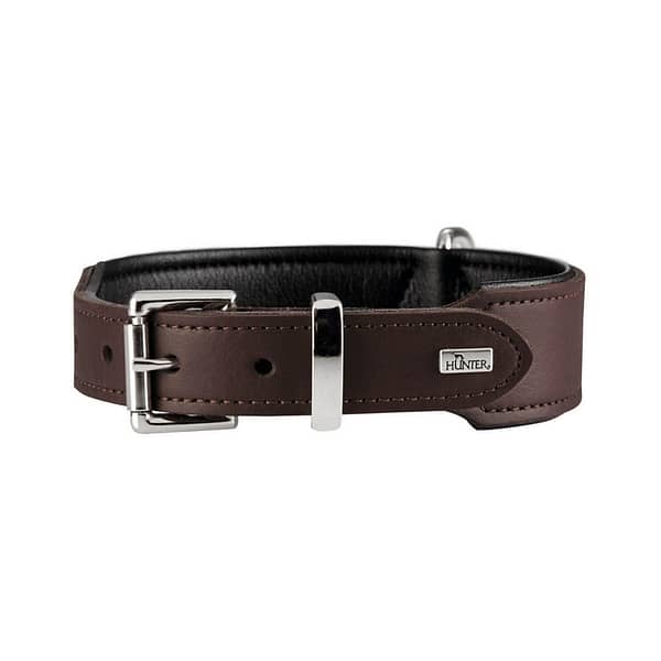 Boston brown leather dog collar