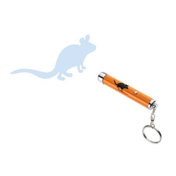 LED-pointer-cat-toy-orange