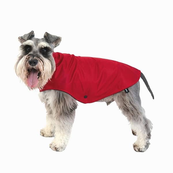waterproof-dog-raincoat-red-rio-lifestyle