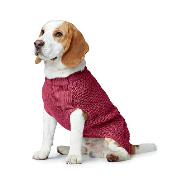 Malmo-Red-Knitted-Dog-Jumper-beagle
