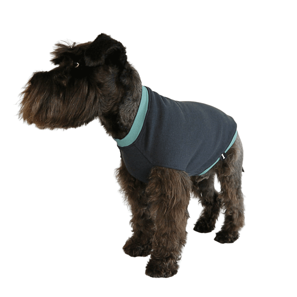 vermont-charcoal-nmerino-dog-sweater-front